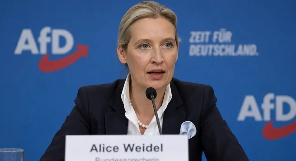 Alice Weidel, AfD-Bundessprecherin und Oppositionsf&uuml;hrerin im Bundestag